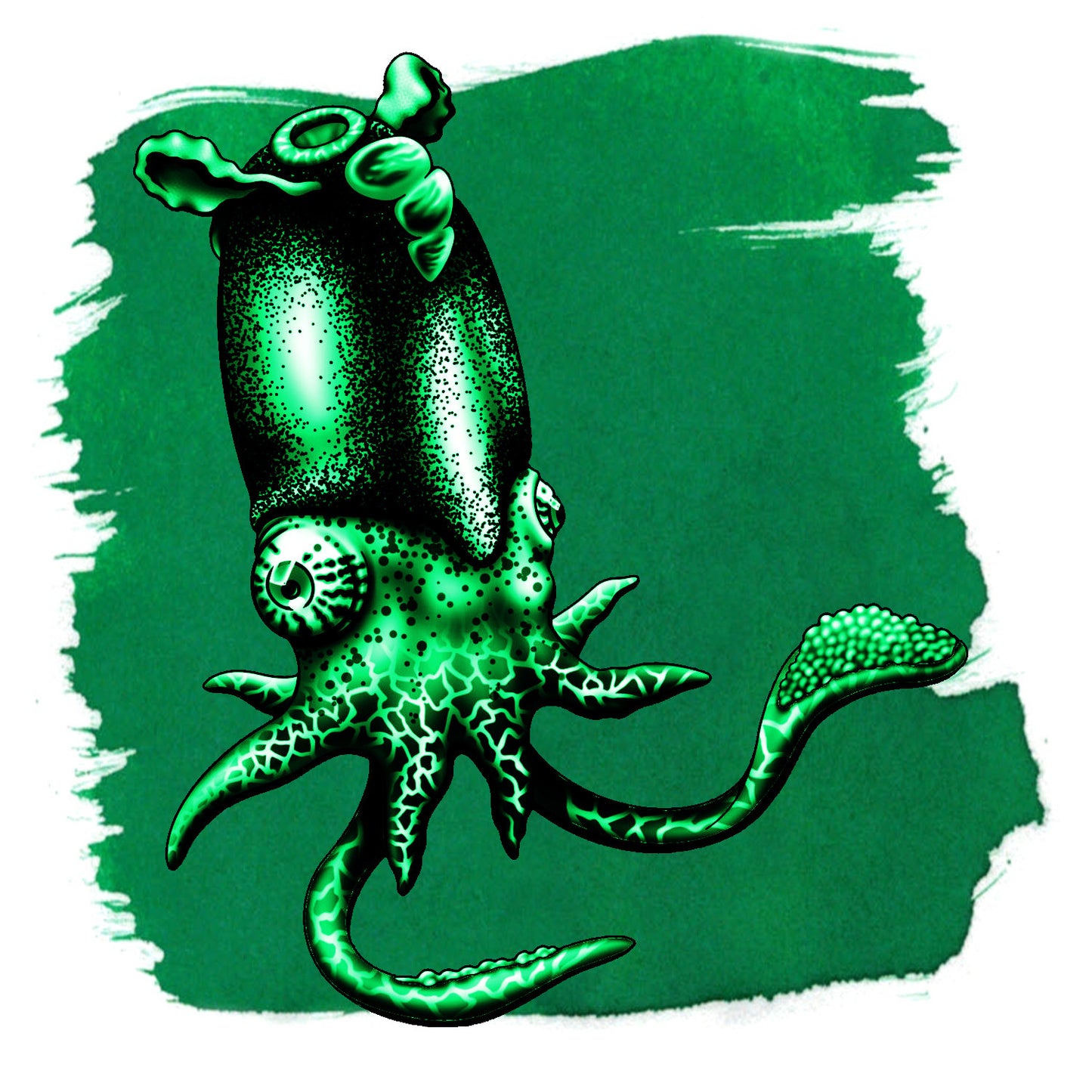Anderillium inkt - Cephalopod Series - Spirula Green