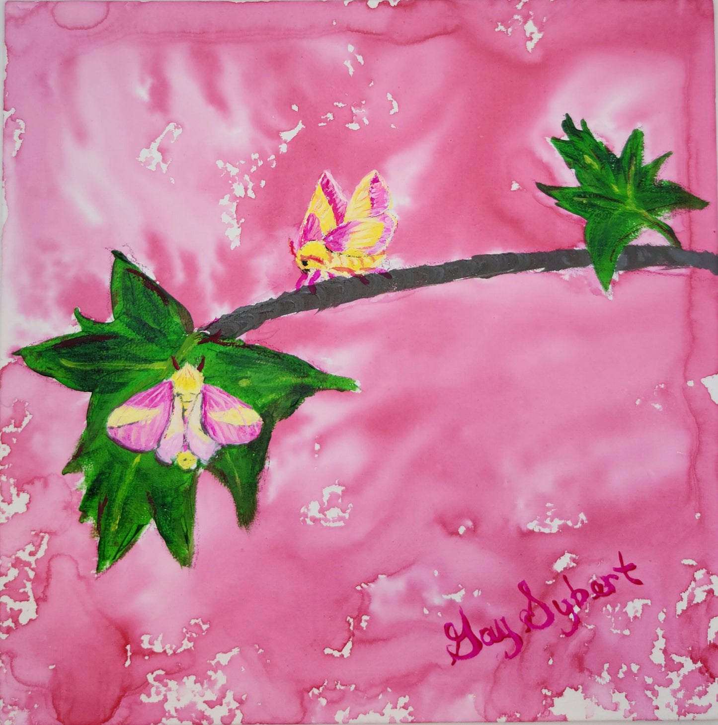 Anderillium inkt - Lepidoptera Series - Rose Maple Moth Pink