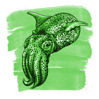 Anderillium inkt - Cephalopod Series - Bobtail Squid Green